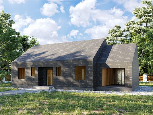 Grafika Light Wood Plus